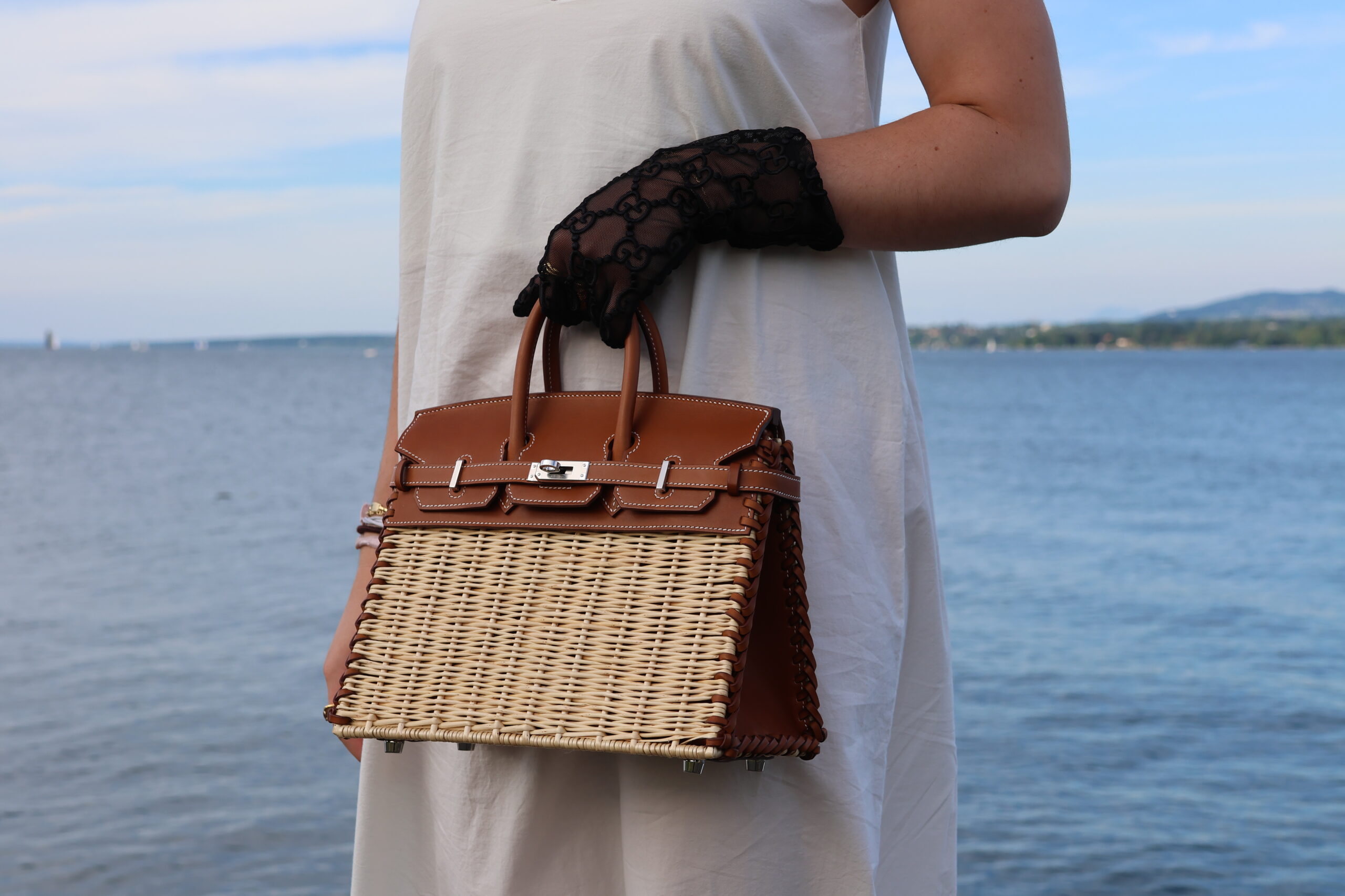 BIRKIN 25 PICNIC